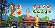 啪啪TⅤ江苏无锡灵山大佛旅游风景区