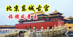 最近最新免费观看性爱视频中国北京-东城古宫旅游风景区
